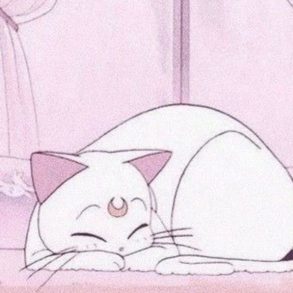 Meet your Posher, Jena - Picture 1 of 1